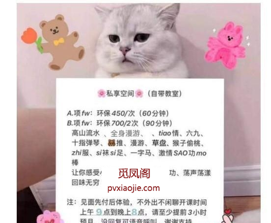 国贸环保少妇小燕子